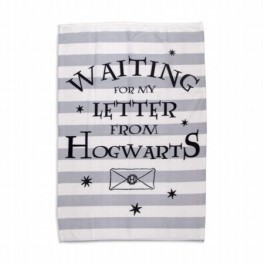 Harry Potter Manta Polar Spell 100 x 150 cm
