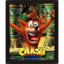 Cuadro 3D Crash Bandicoot