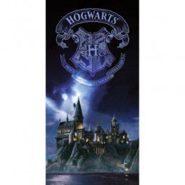 Harry Potter Poster Vidrio Hogwarts Nocturno